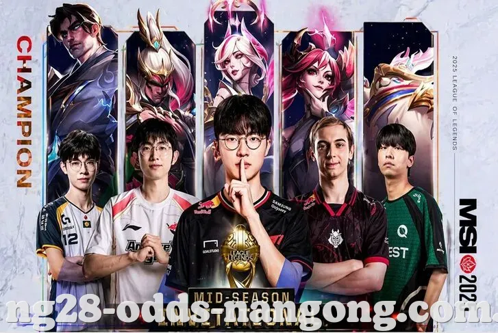 NG28 文章中心